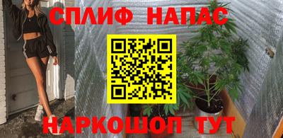 сатива Будённовск