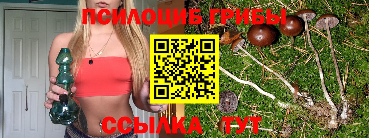 Ростов Великий  купить   Вход с VPN  Псилоцибиновые грибы Cubensis  Псилоцибиновые грибы Psilocybe 